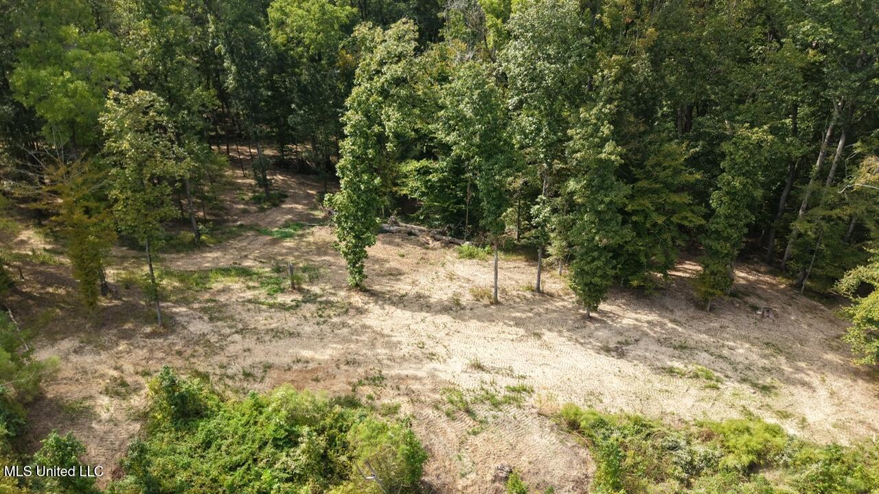 1 Abernathy Road Flora, MS 39071 - Photo 12 of 22 dji_fly_20250922_143140_0222_17585697084