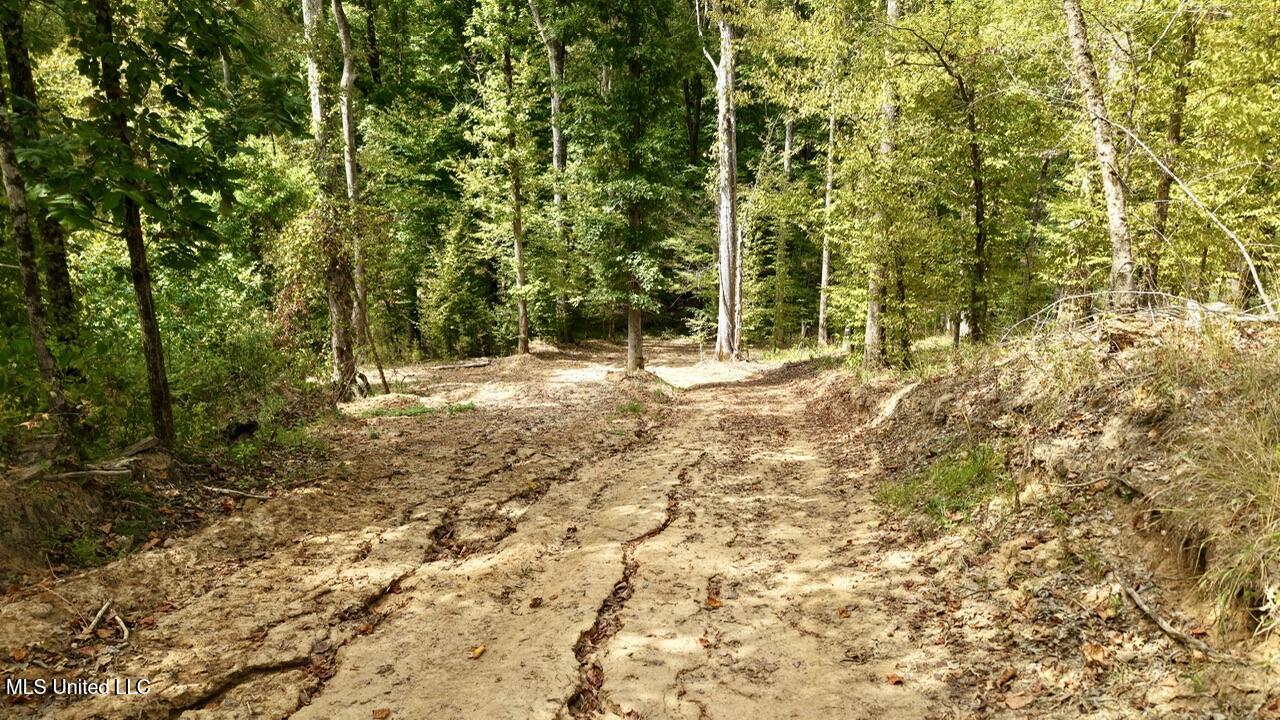 1 Abernathy Road Flora, MS 39071 - Photo 13 of 22 dji_fly_20250922_142626_0212_17585697264