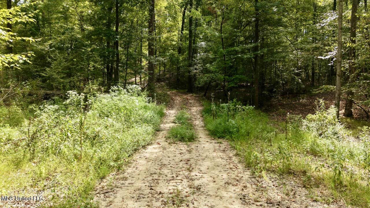 1 Abernathy Road Flora, MS 39071 - Photo 14 of 22 dji_fly_20250922_142756_0216_17585697161