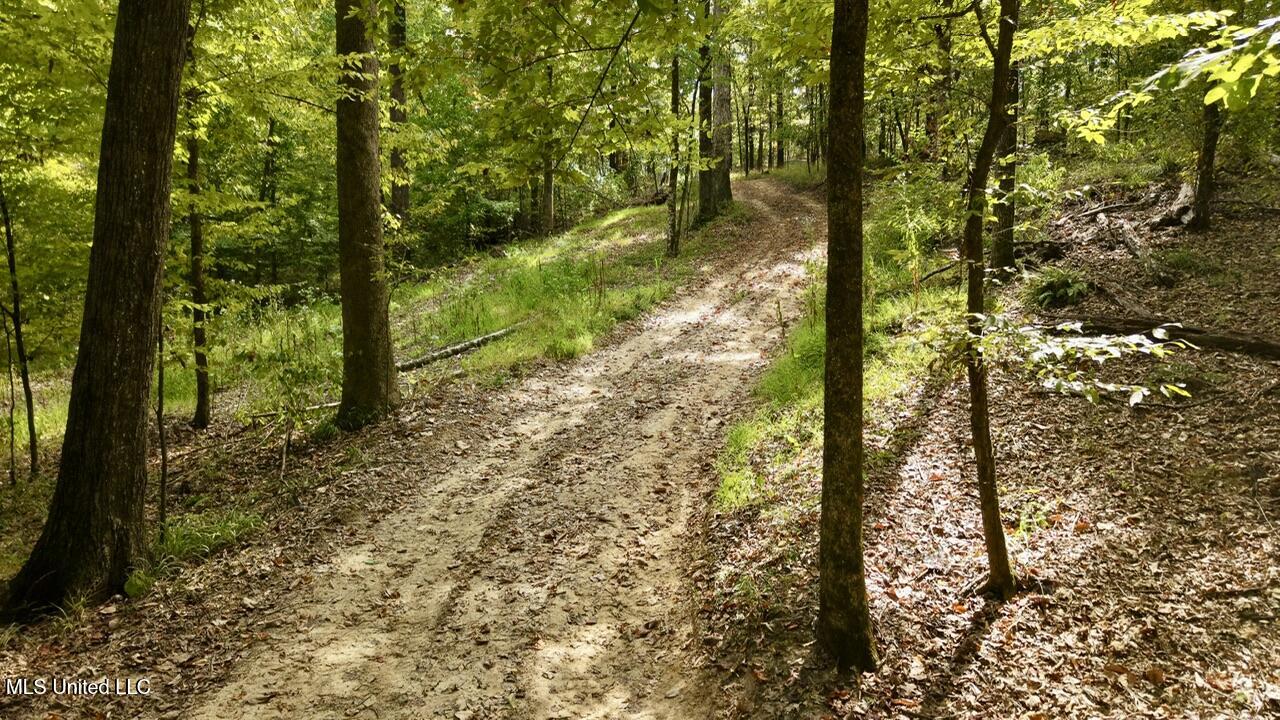 1 Abernathy Road Flora, MS 39071 - Photo 15 of 22 dji_fly_20250922_142840_0218_17585697116