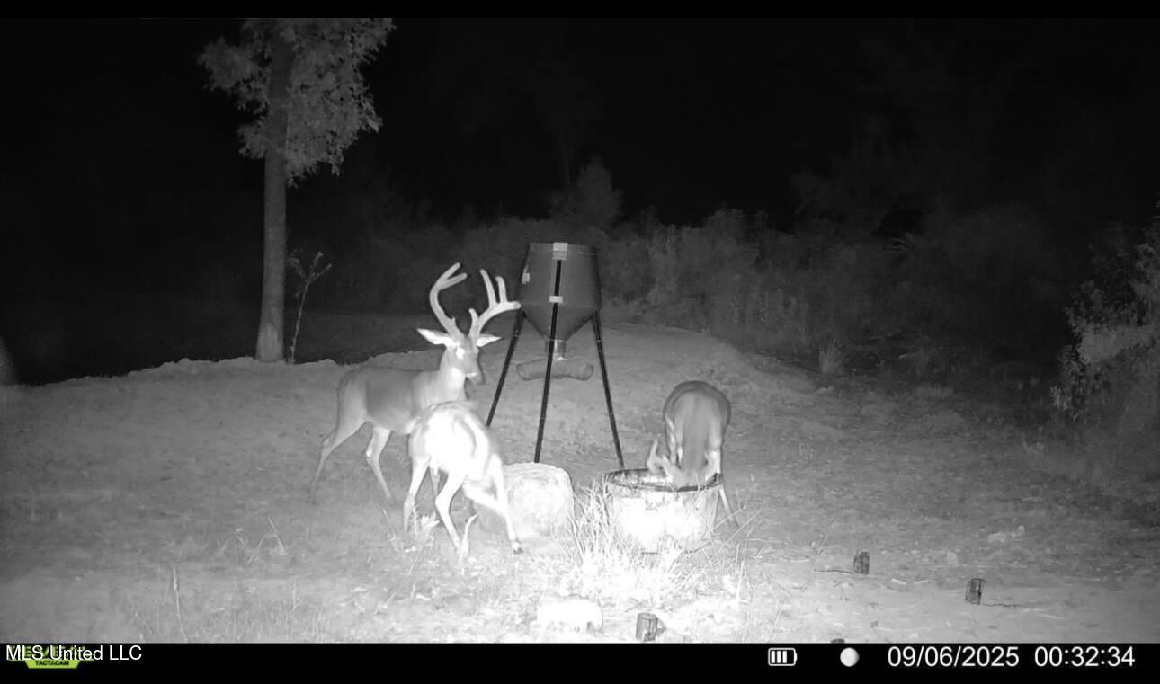 1 Abernathy Road Flora, MS 39071 - Photo 16 of 22 IMG_2853