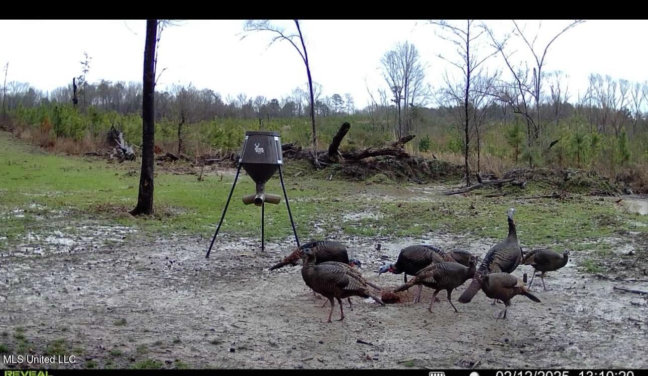 1 Abernathy Road Flora, MS 39071 - Photo 17 of 22 IMG_1569