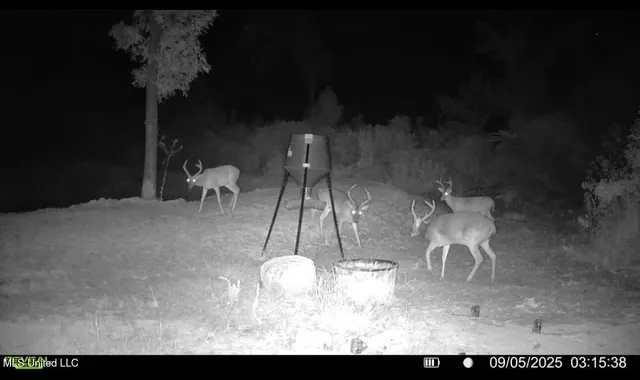 $215,000 | 1 Abernathy Road, Flora, MS 39071