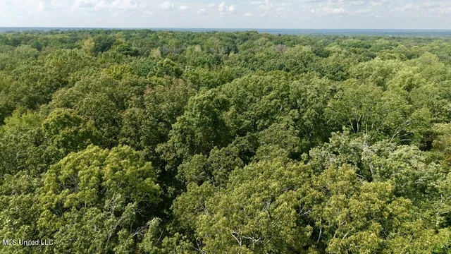 $215,000 | 1 Abernathy Road, Flora, MS 39071