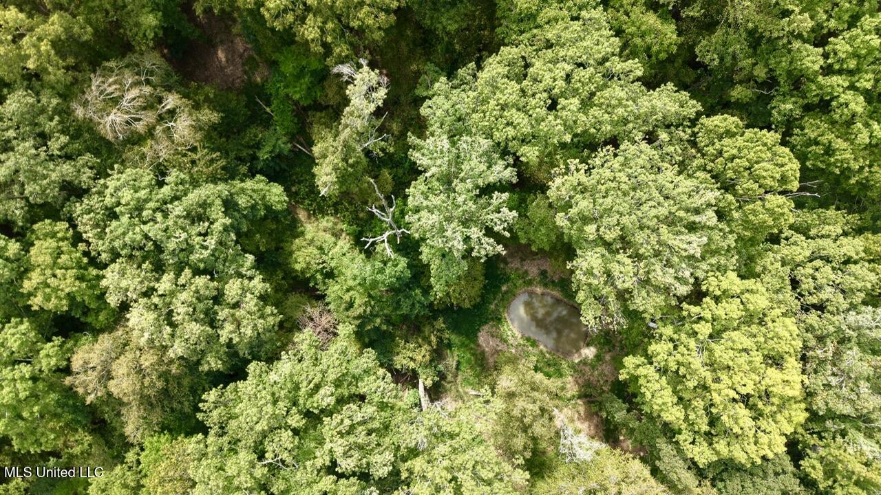 1 Abernathy Road Flora, MS 39071 - Photo 4 of 22 dji_fly_20250922_143250_0224_17585697069