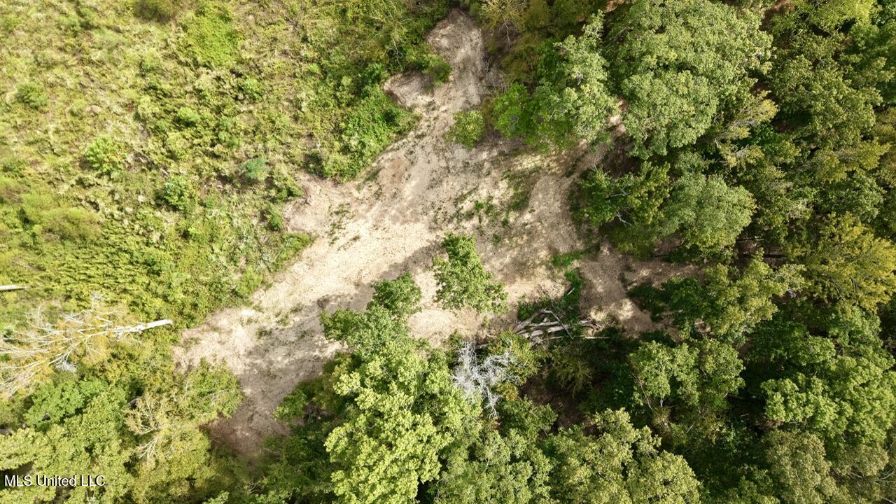 1 Abernathy Road Flora, MS 39071 - Photo 5 of 22 dji_fly_20250922_143224_0223_17585697077