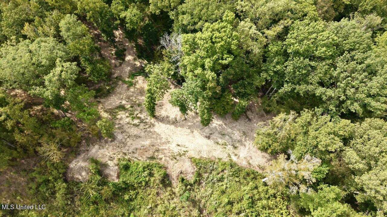 1 Abernathy Road Flora, MS 39071 - Photo 6 of 22 dji_fly_20250922_143114_0220_17585697100