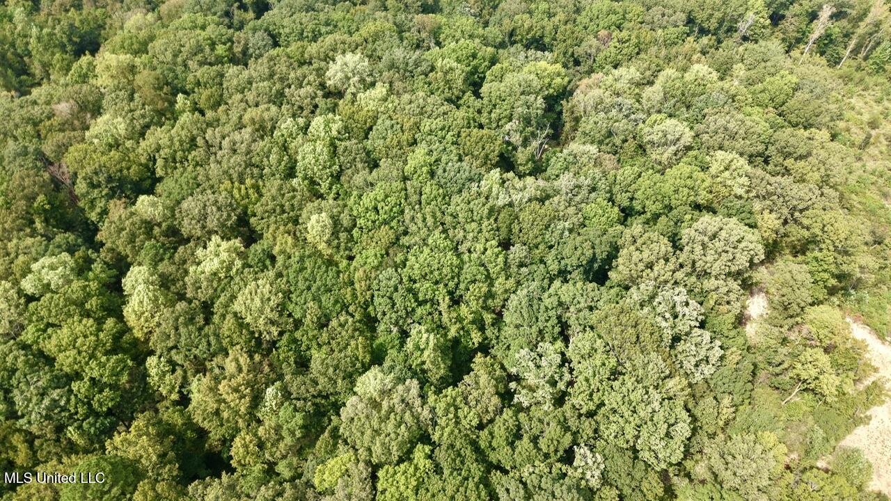 1 Abernathy Road Flora, MS 39071 - Photo 7 of 22 dji_fly_20250922_143036_0219_17585697108