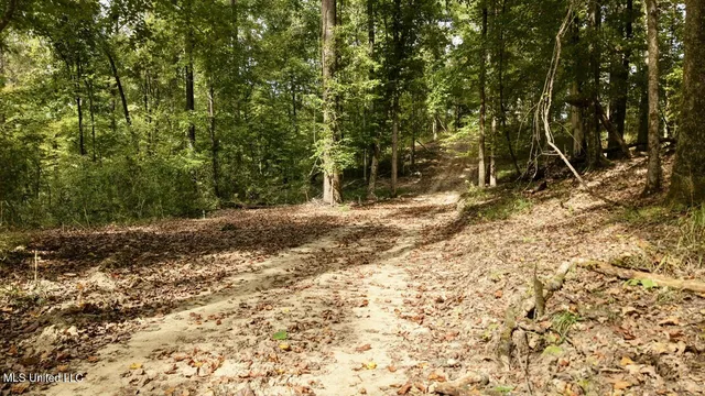 $215,000 | 1 Abernathy Road, Flora, MS 39071