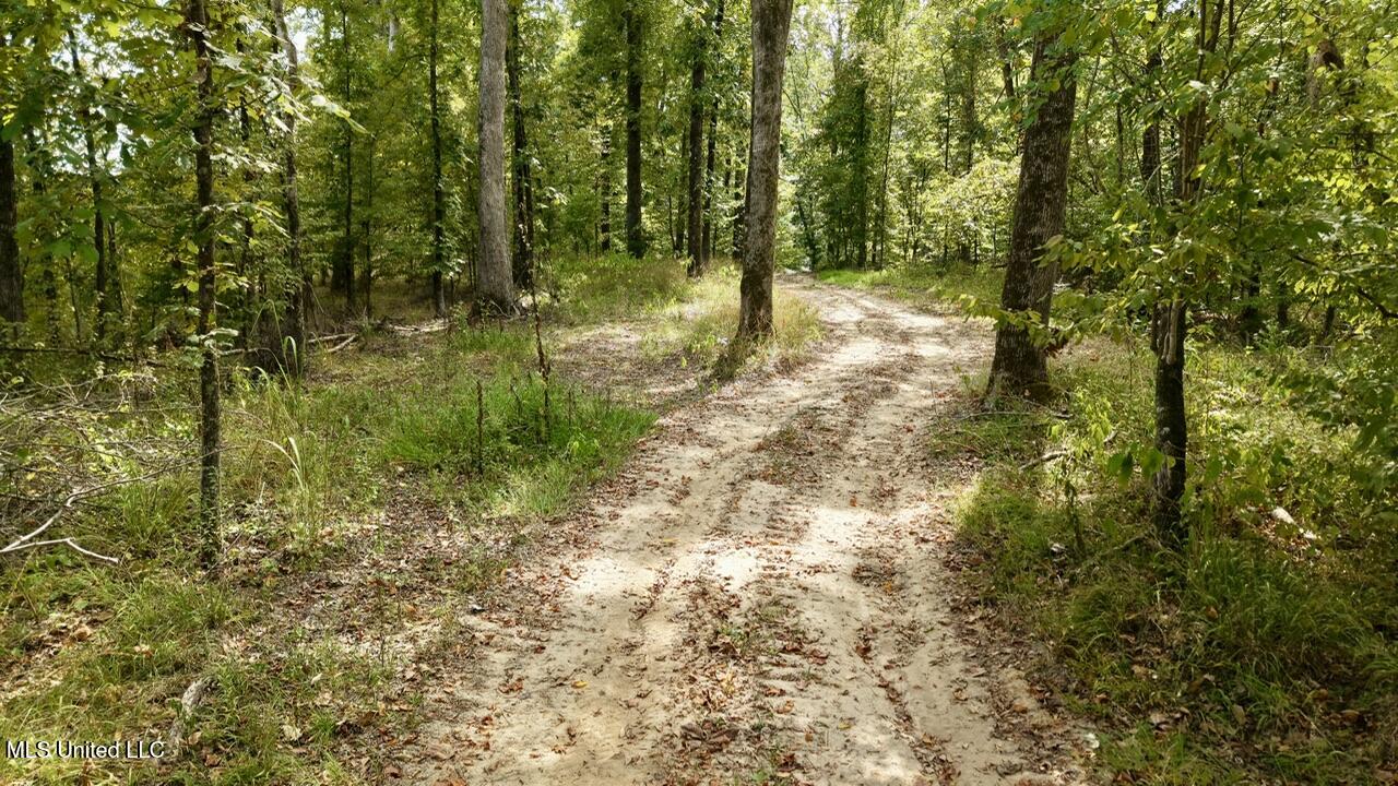 1 Abernathy Road Flora, MS 39071 - Photo 9 of 22 dji_fly_20250922_142642_0213_17585697256