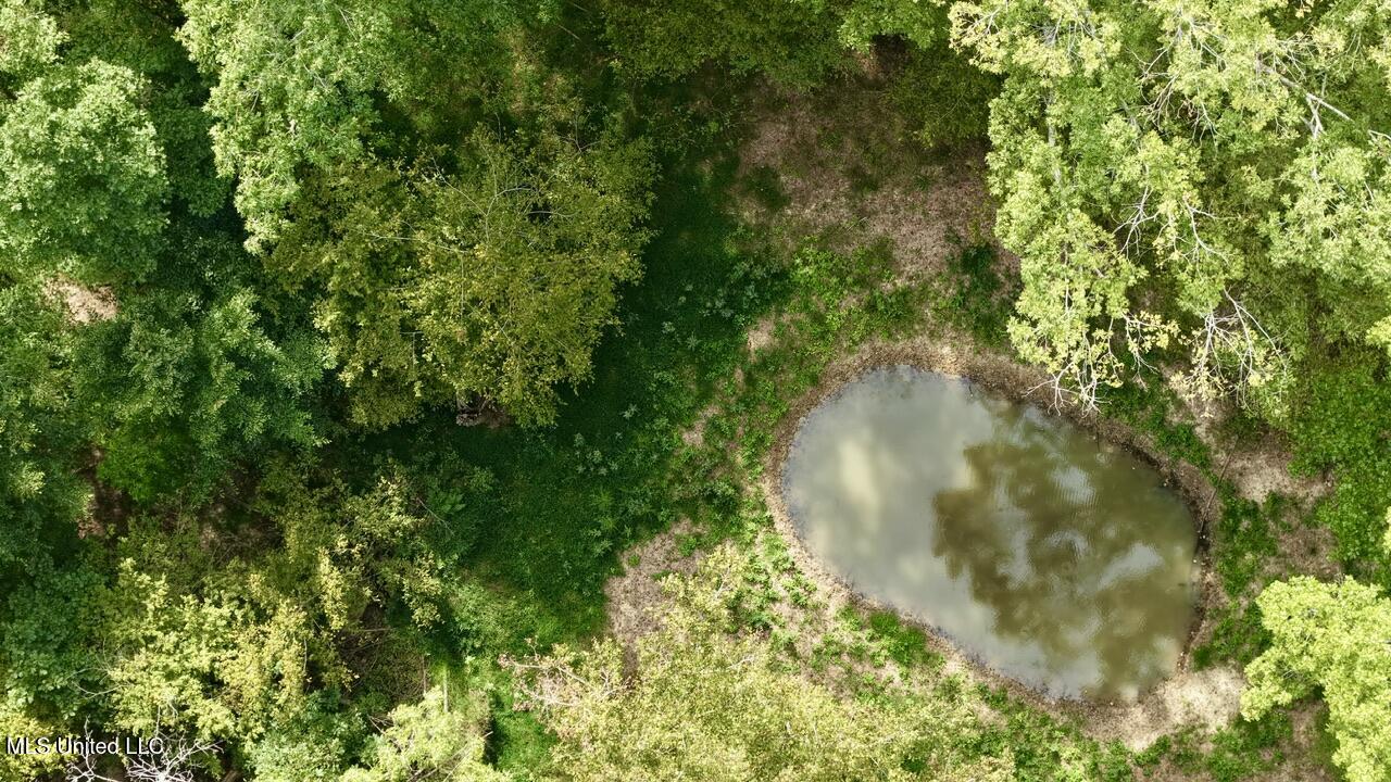 1 Abernathy Road Flora, MS 39071 - Photo 10 of 22 dji_fly_20250922_143306_0225_17585697061