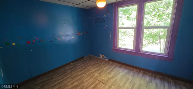 $125,000 | 501 De Graff Avenue, Swanville, MN 56382