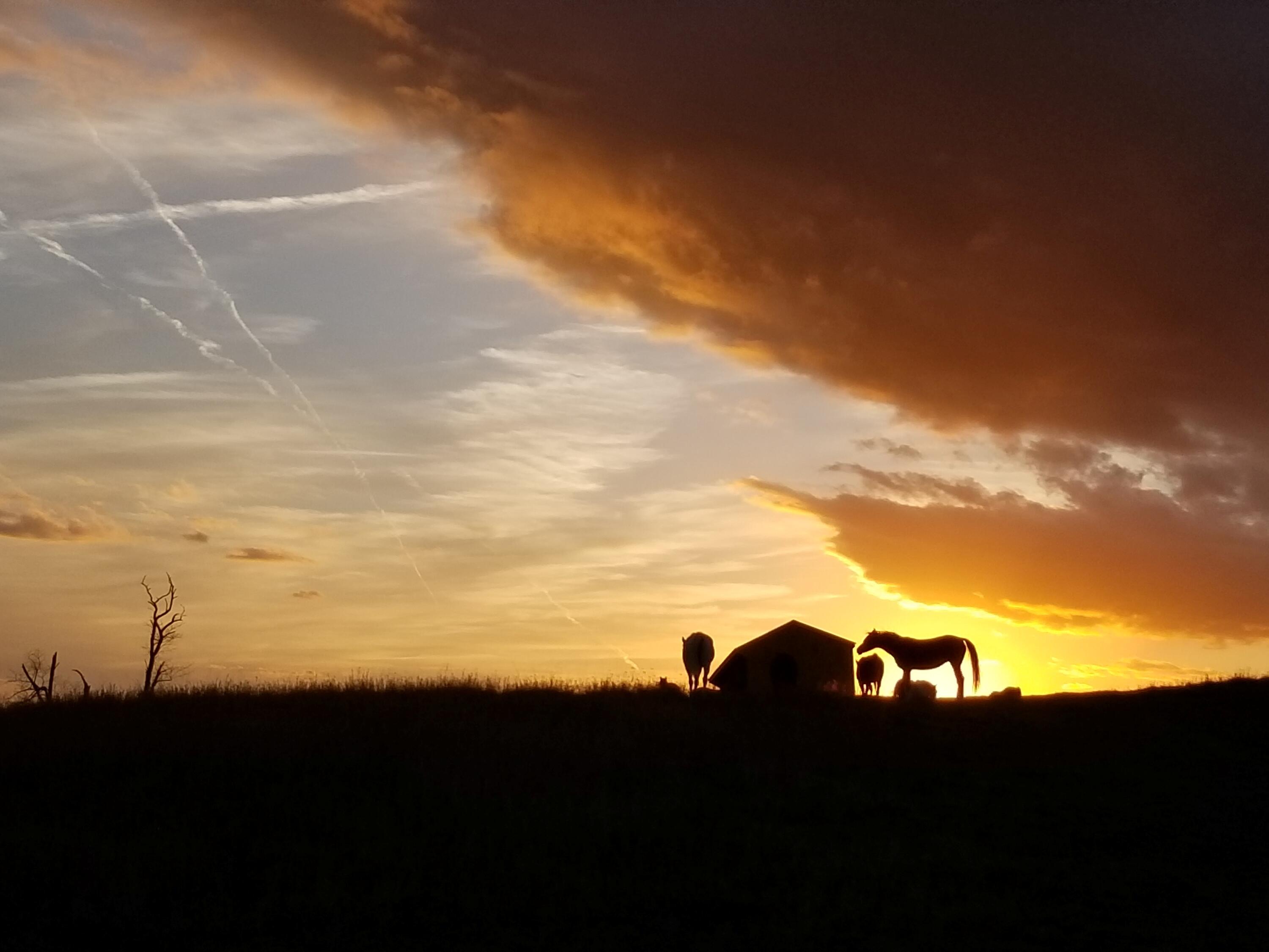 747 New Providence Road Raphine, VA 24472 - Photo 45 of 46 45 Sunset At VCL Flying Horse Farm