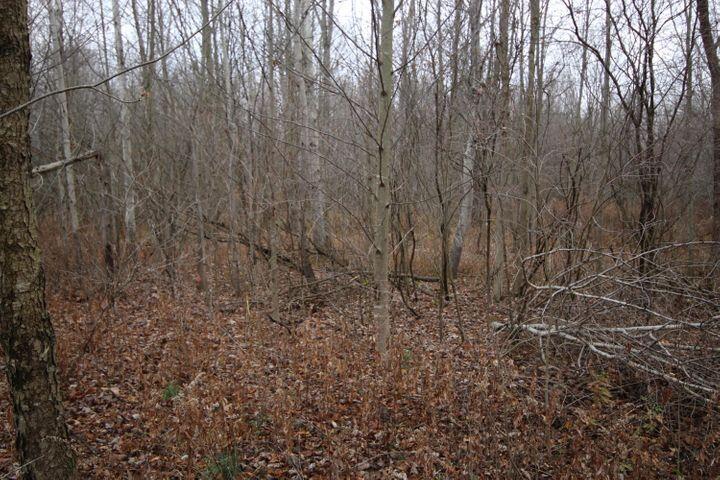 4159 Clawson Road Dowagiac, MI 49047 - Photo 3 of 3 4159 clawson