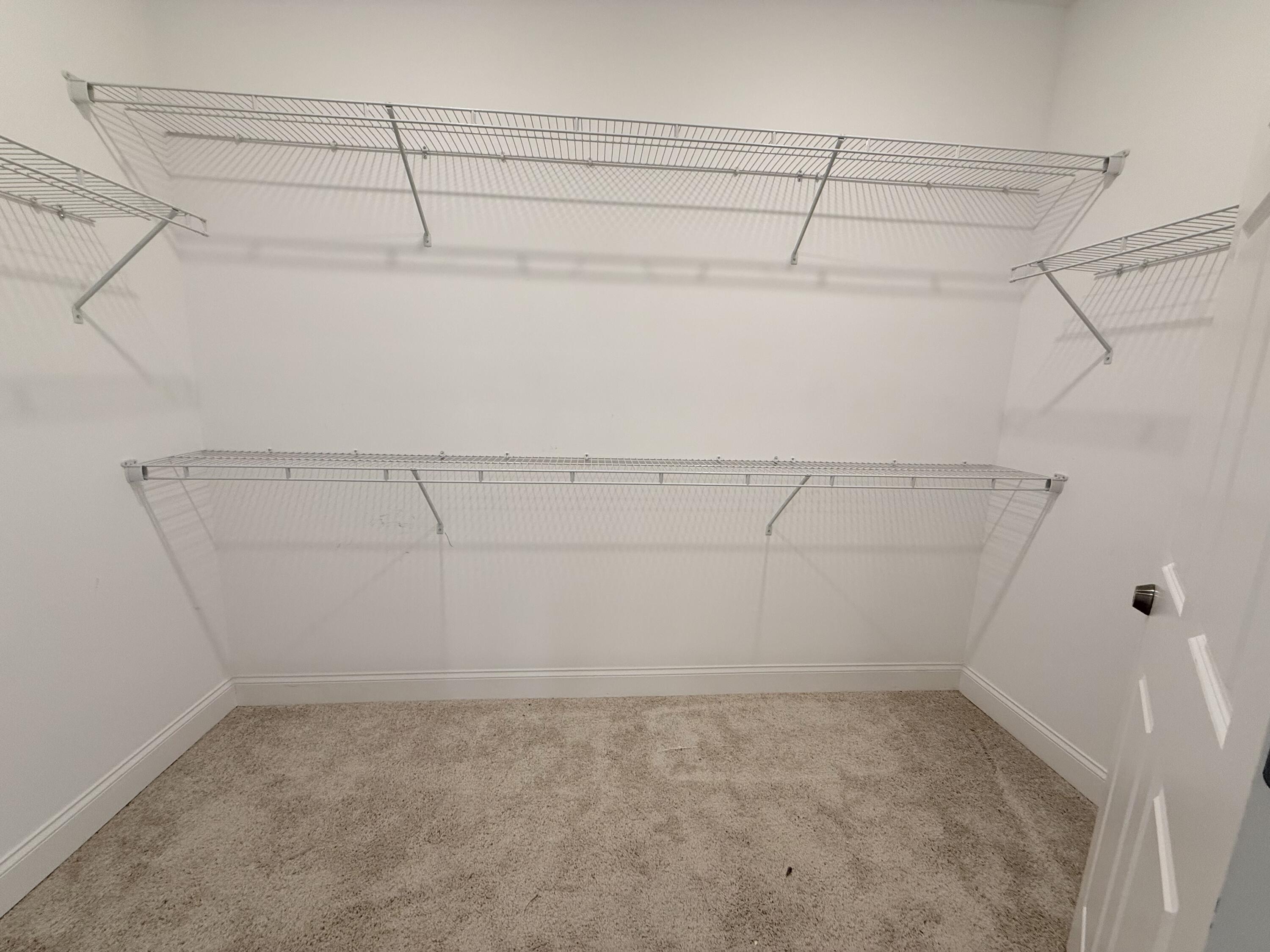 1616 Buttonwood Loop Chattanooga, TN 37421 - Photo 23 of 46 Walk-in Closet 1
