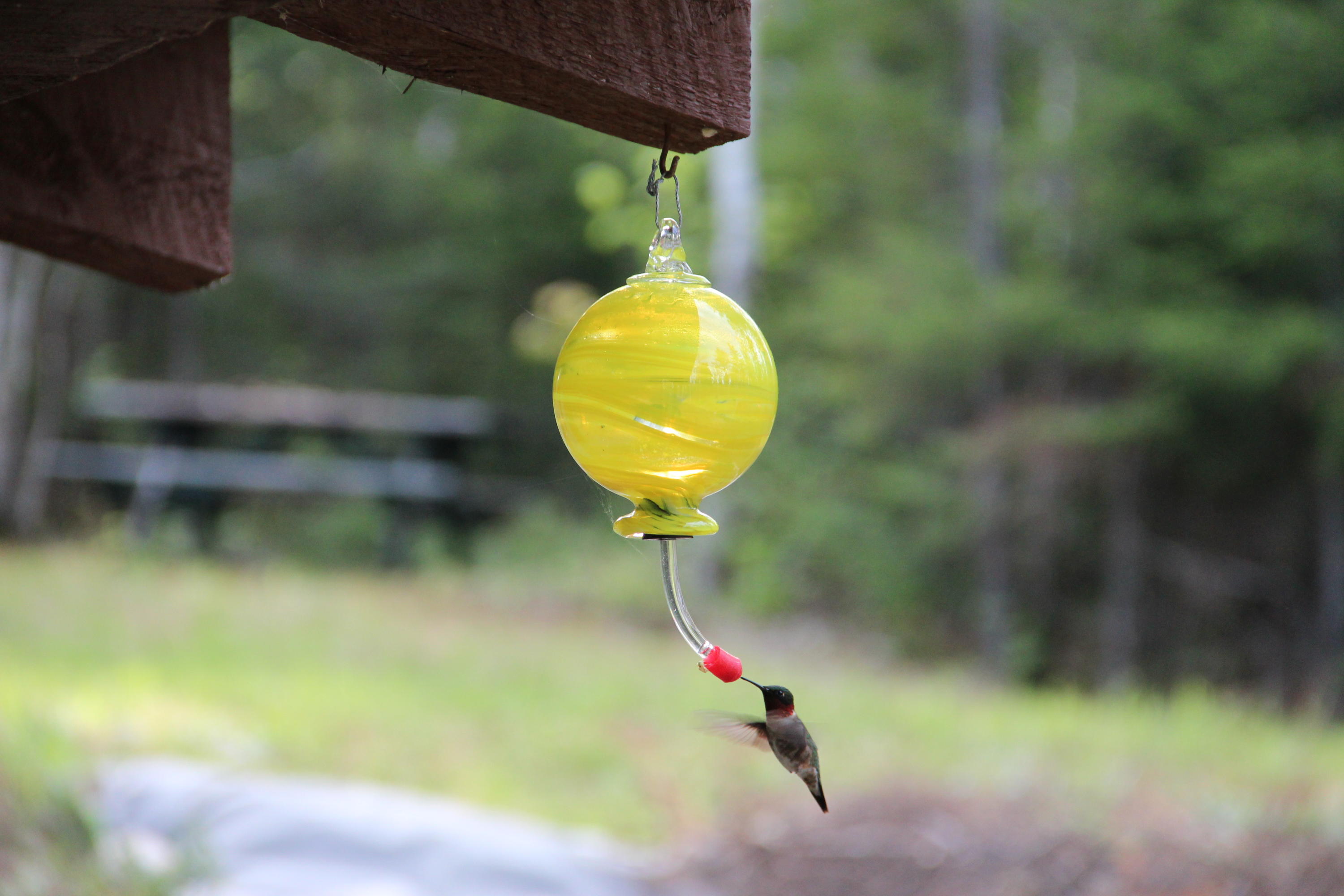 10 Racoon Lane West Forks, ME 04985 - Photo 20 of 44 050_49894391648_o