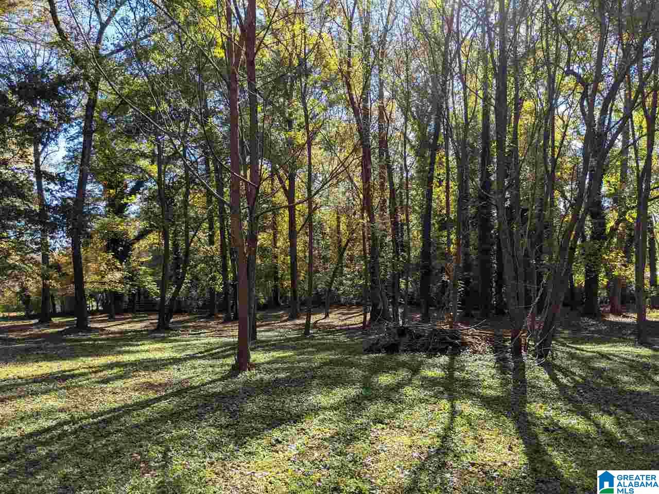2617 Coleman Road Anniston, AL 36207 - Photo 27 of 50