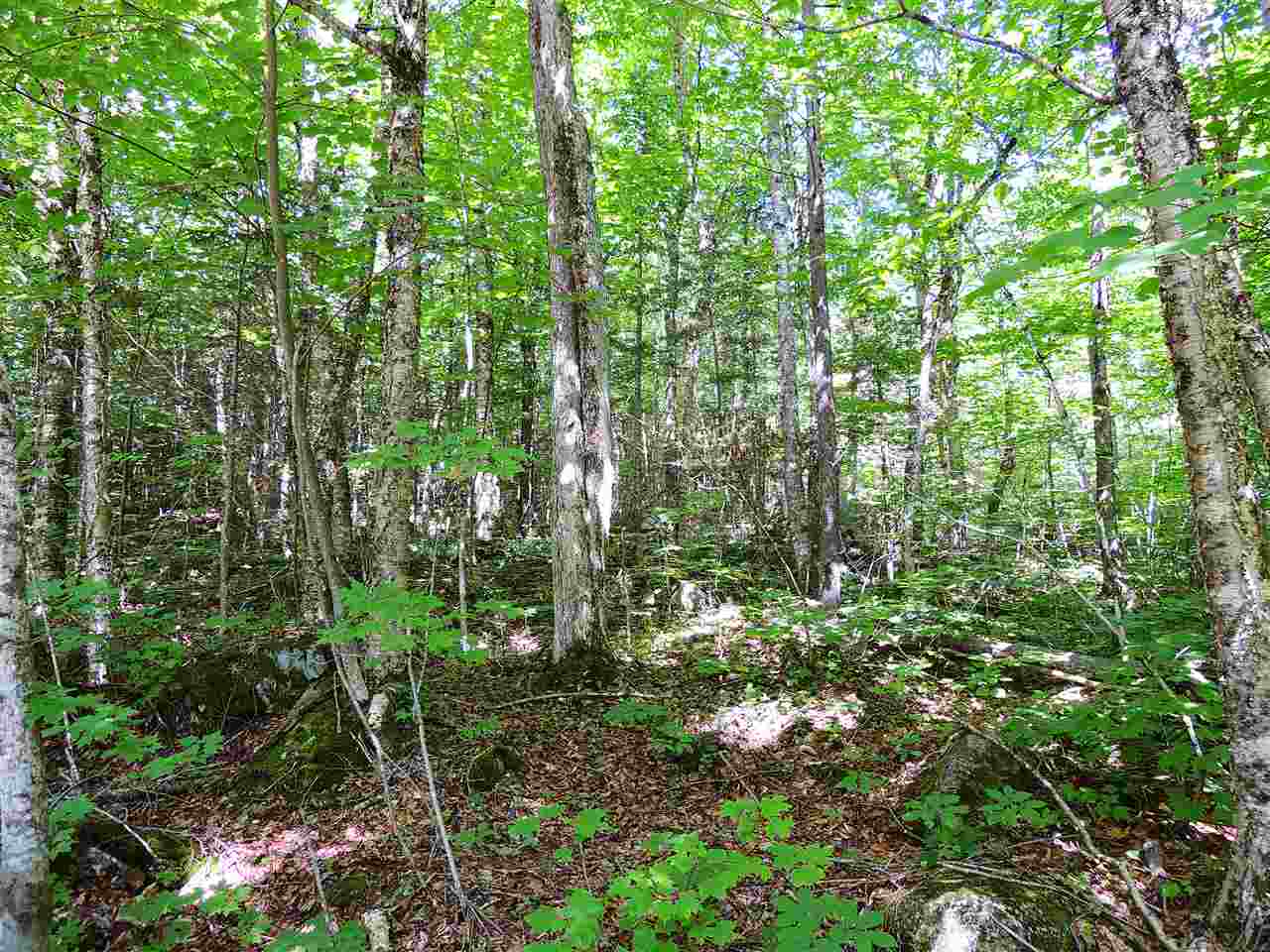 517 Wheeler Mountain Road Barton, VT 05822 - Photo 2 of 10 Gallery Image 2