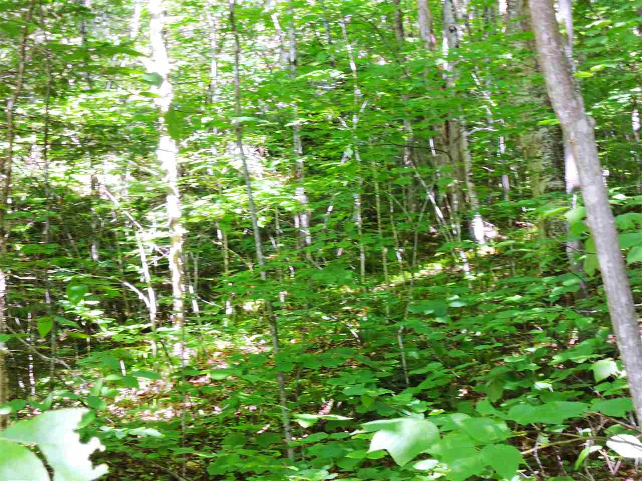 517 Wheeler Mountain Road Barton, VT 05822 - Photo 3 of 10 Gallery Image 3