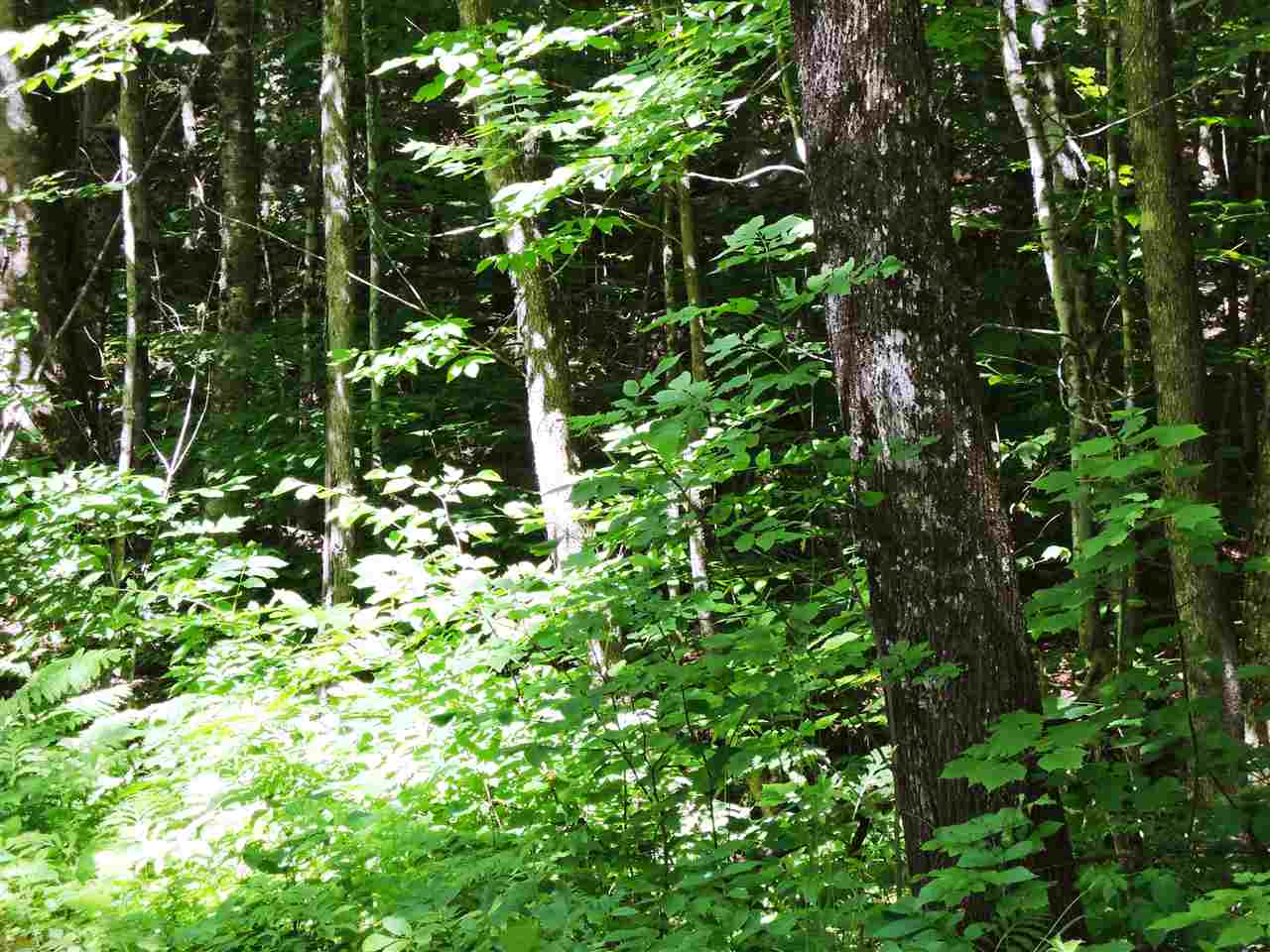 517 Wheeler Mountain Road Barton, VT 05822 - Photo 6 of 10 Gallery Image 6