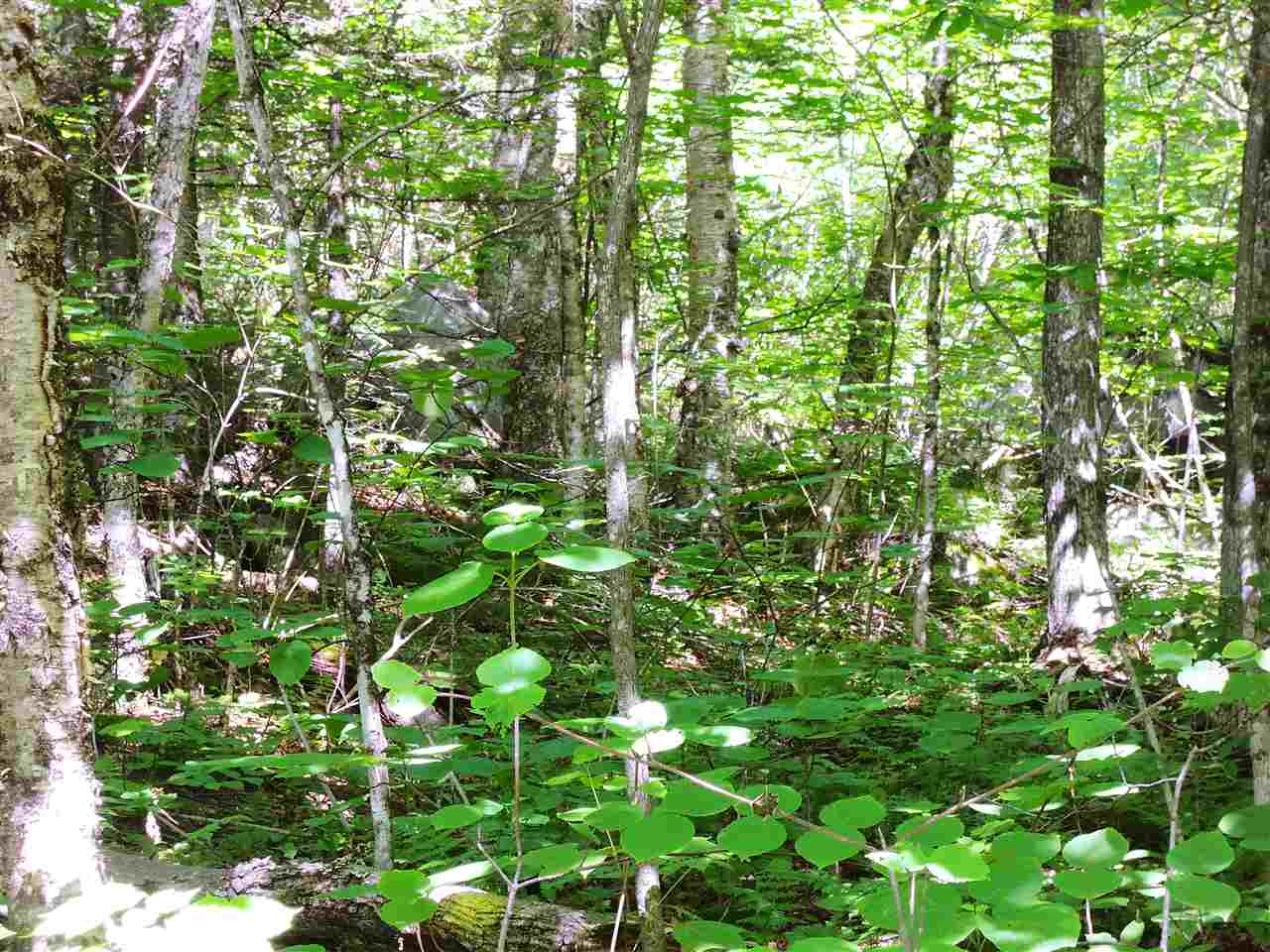 517 Wheeler Mountain Road Barton, VT 05822 - Photo 7 of 10 Gallery Image 7