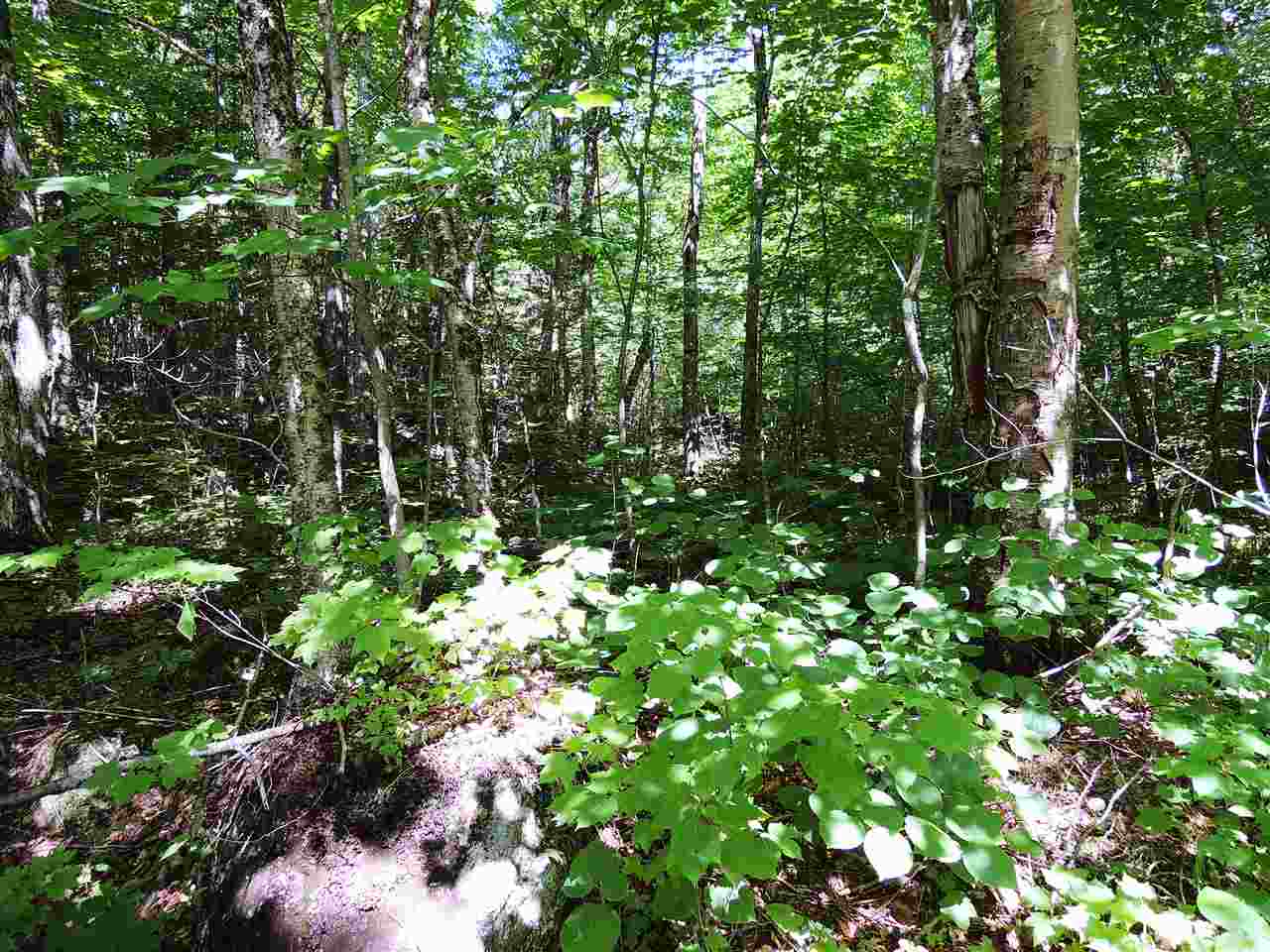 517 Wheeler Mountain Road Barton, VT 05822 - Photo 8 of 10 Gallery Image 8