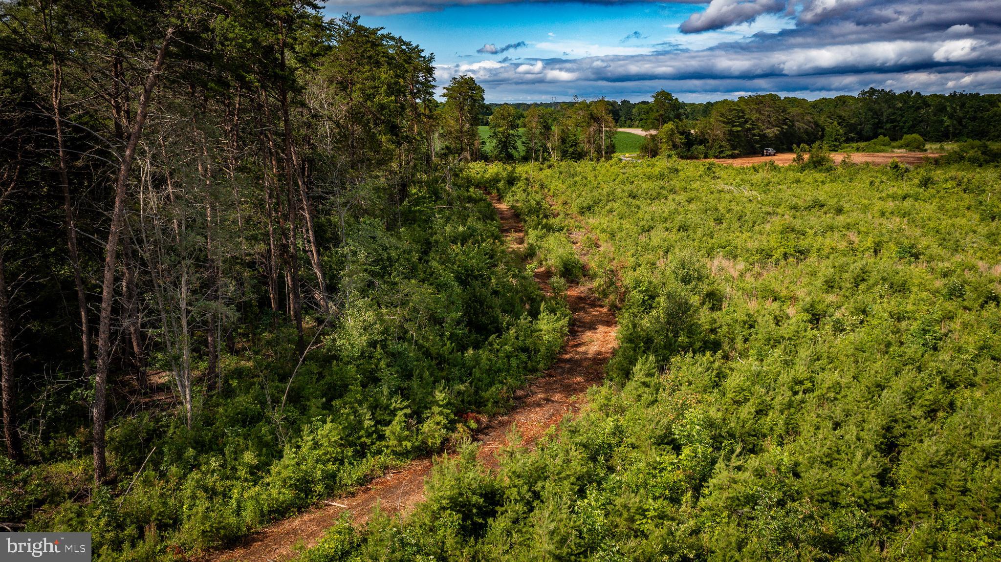 Ritchie Road Midland, VA 22728 - Photo 32 of 40