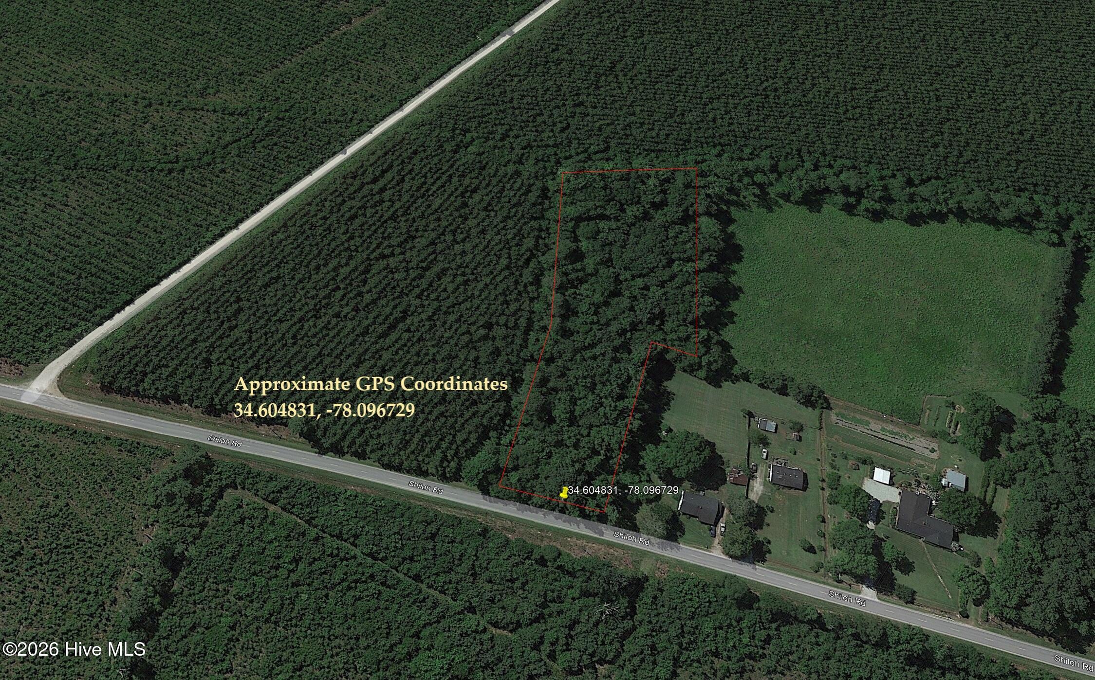 0 Shiloh Road Willard, NC 28478 - Photo 11 of 13 photo11