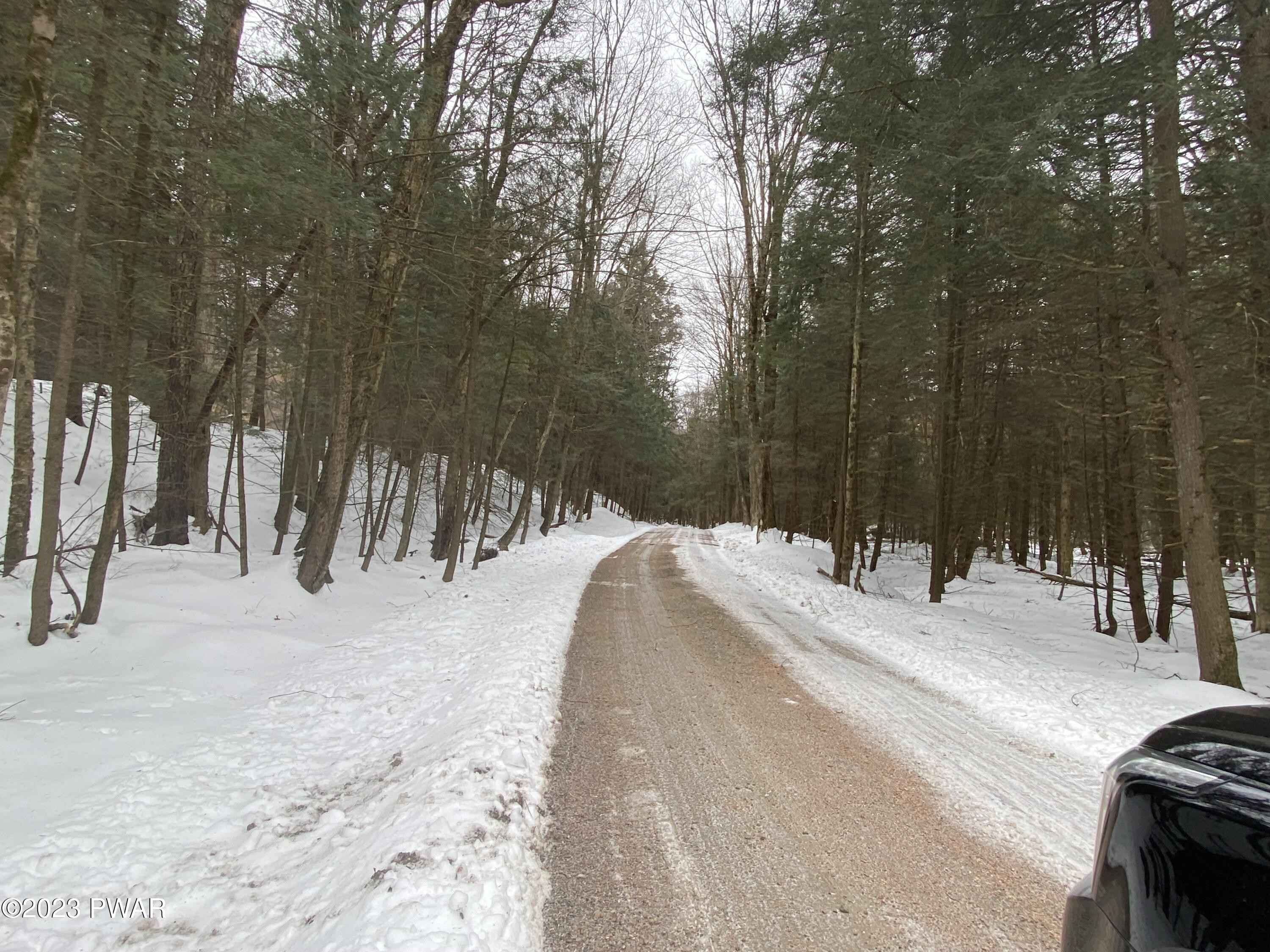 Hatchery Road Union Dale, PA 18470 - Photo 2 of 10