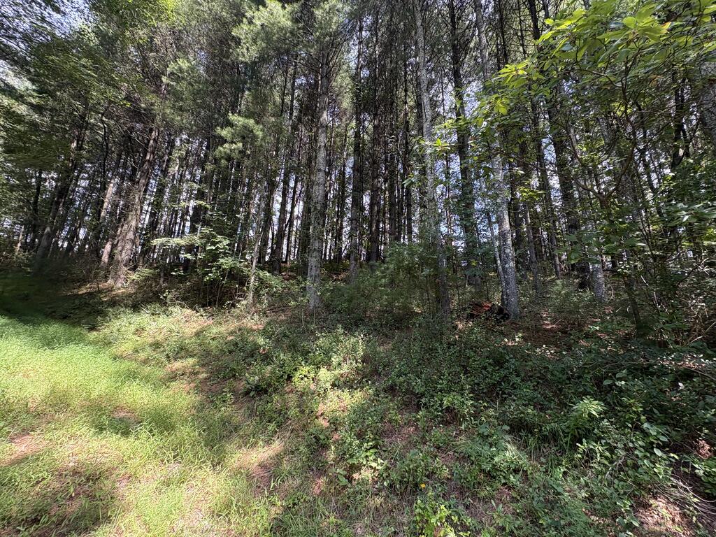 21 South S Street, Unit 1 Elkin, NC 28621 - Photo 19 of 57 Gallery Image 19