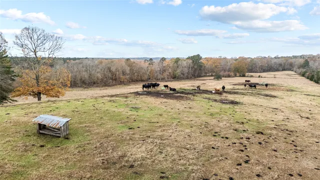 $340,500 | 16202 Highway 87 South, Shelbyville, TX 75973