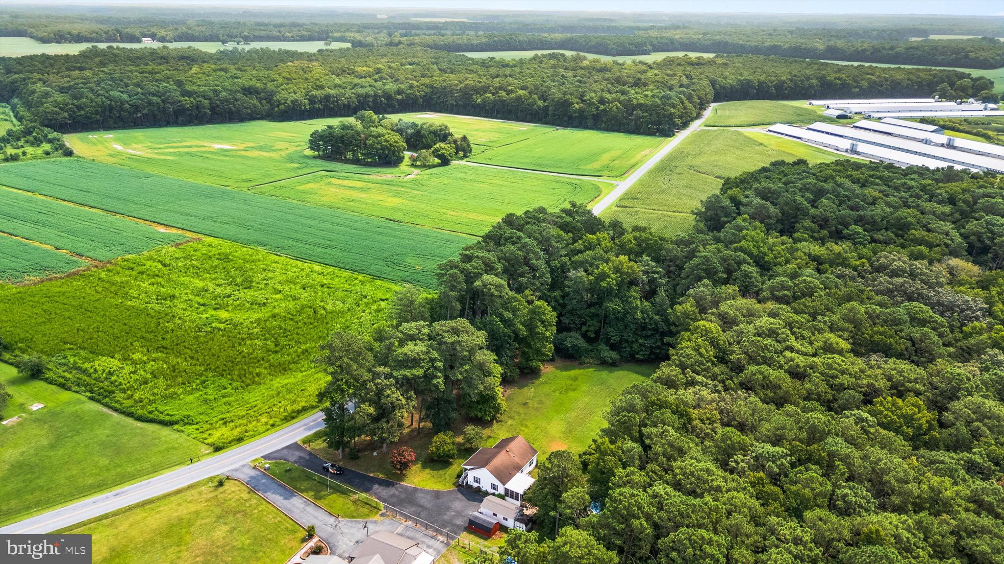 3520 Sheephouse Road Pocomoke City, MD 21851 - Photo 36 of 38 do you hear that?