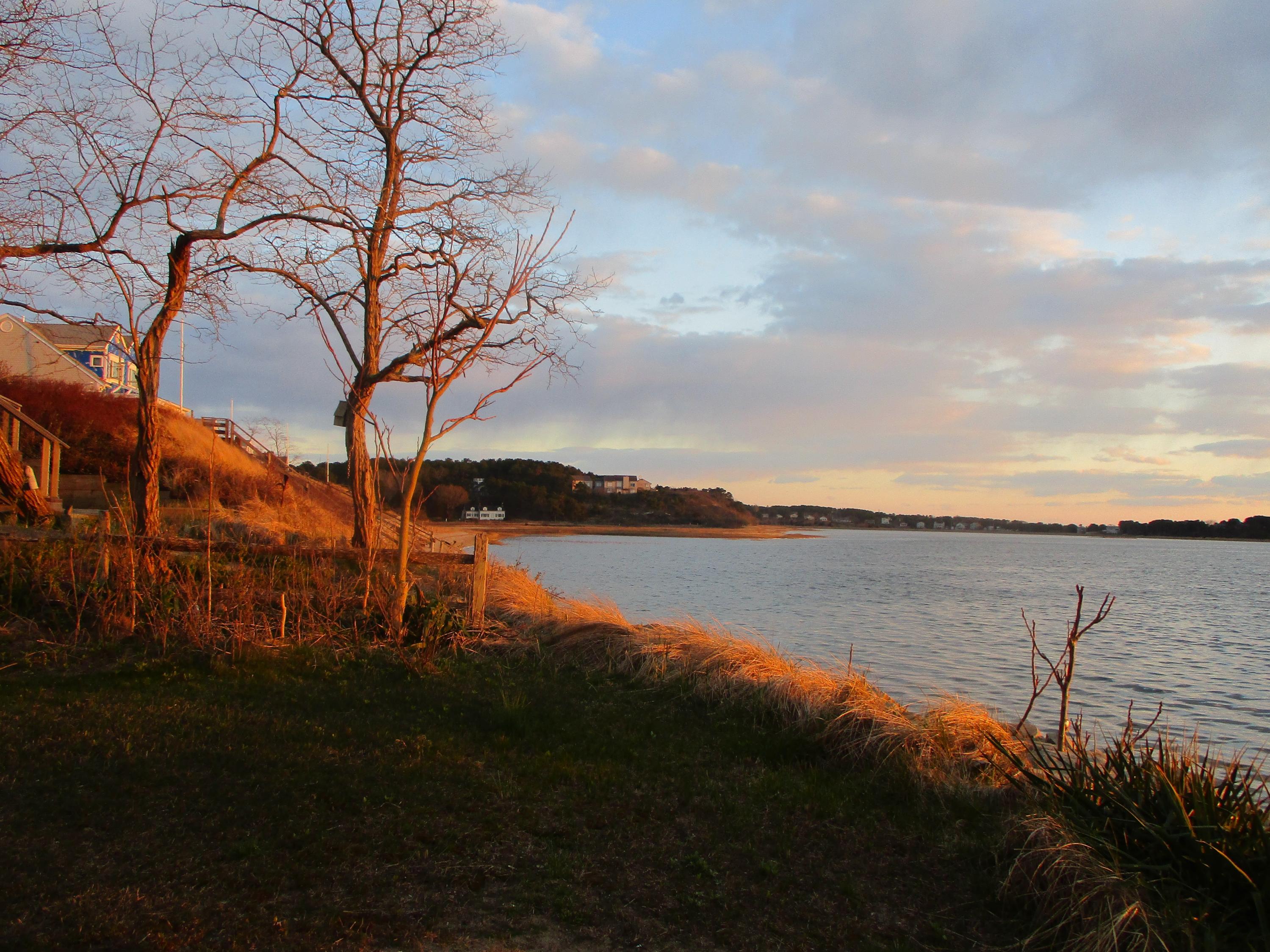 46 Sandpiper Hill Road Wellfleet, MA 02667 - Photo 2 of 43 IMG_1923