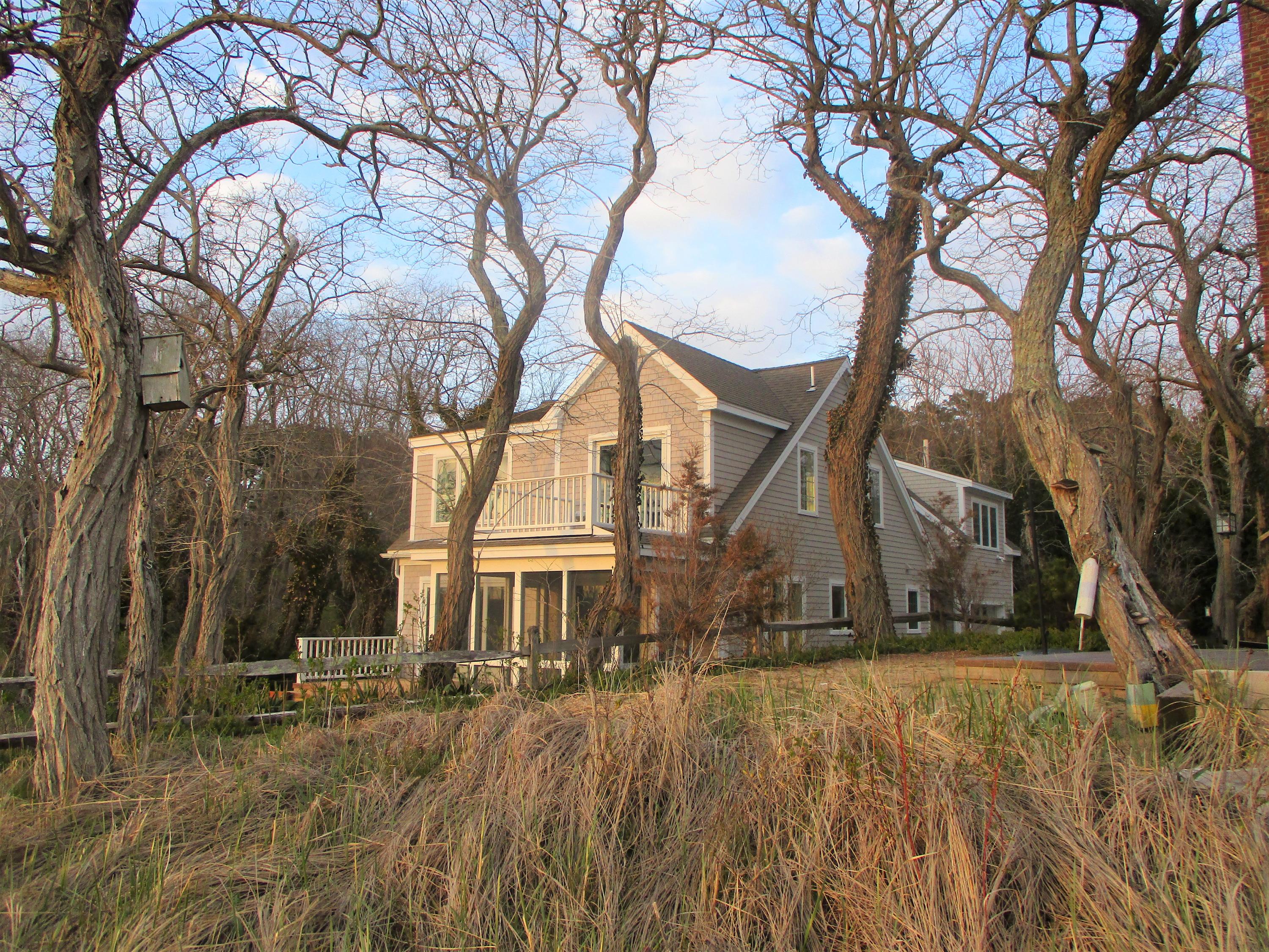 46 Sandpiper Hill Road Wellfleet, MA 02667 - Photo 6 of 43 IMG_1841