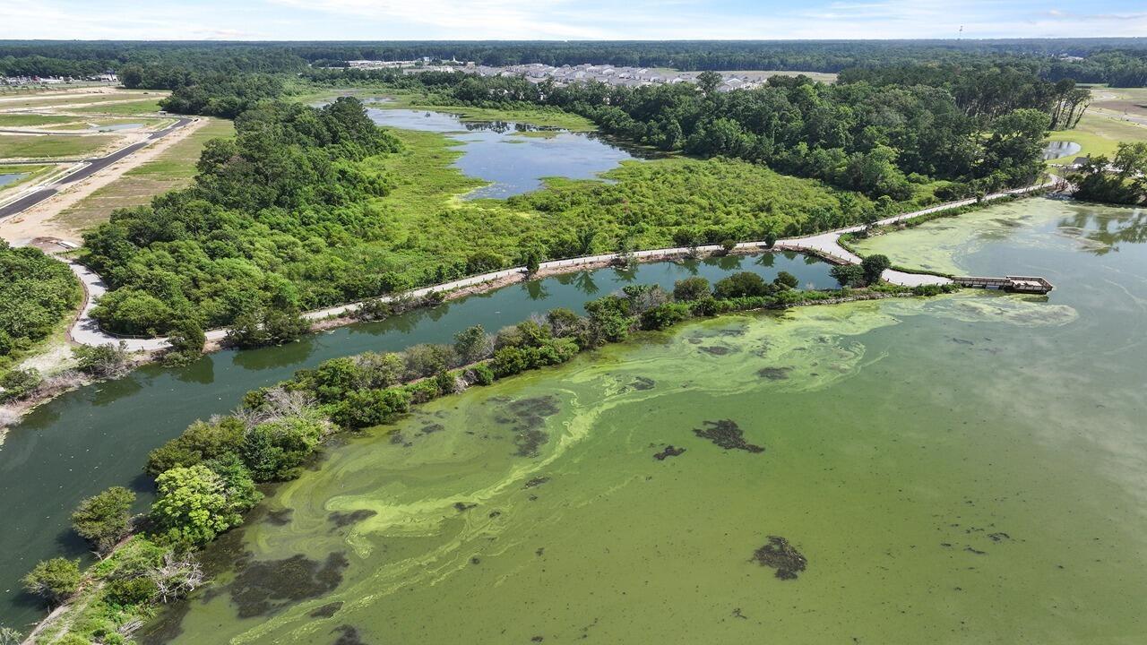 221 Yarrow Way Moncks Corner, SC 29461 - Photo 19 of 41 25_dji_20250625105926_0154_d