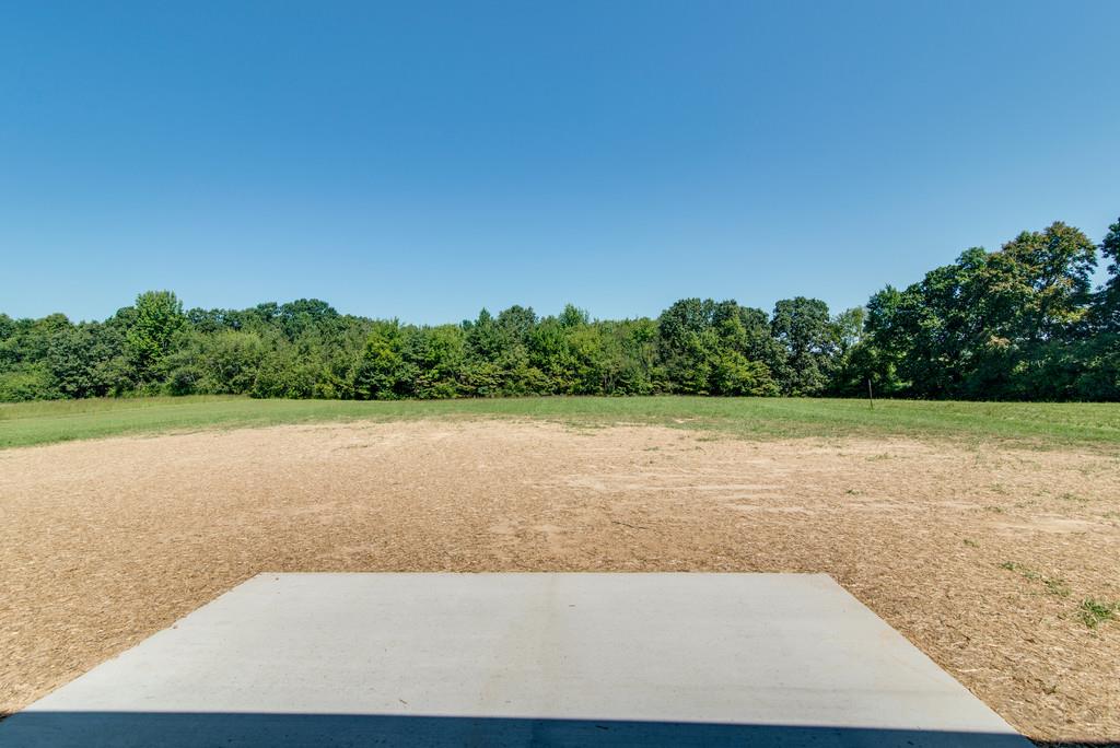132 Blue Moon Road Dickson, TN 37055 - Photo 10 of 25 Gallery Image 10
