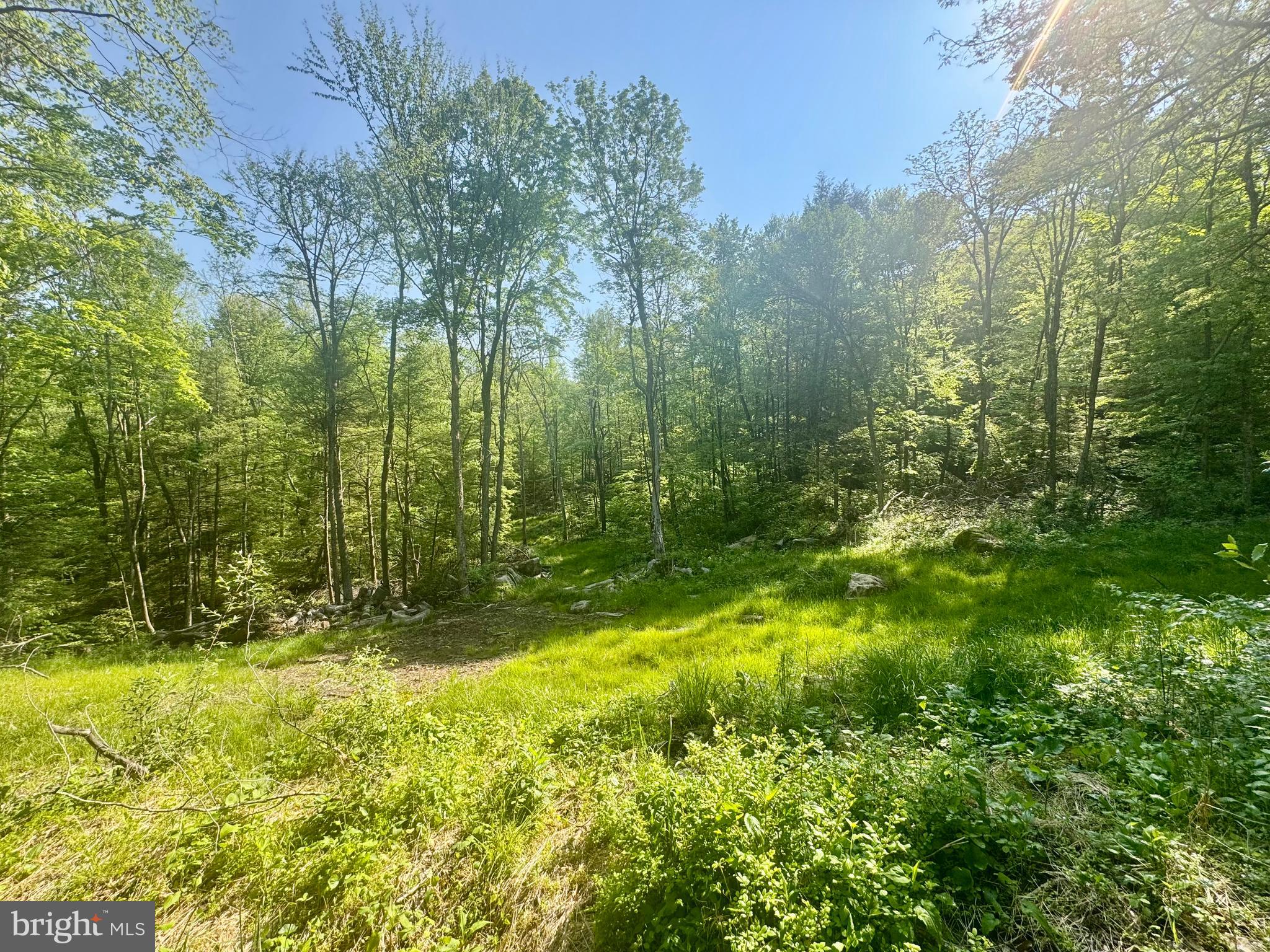 Tract B John Orr Road Independence, WV 26374 - Photo 27 of 30