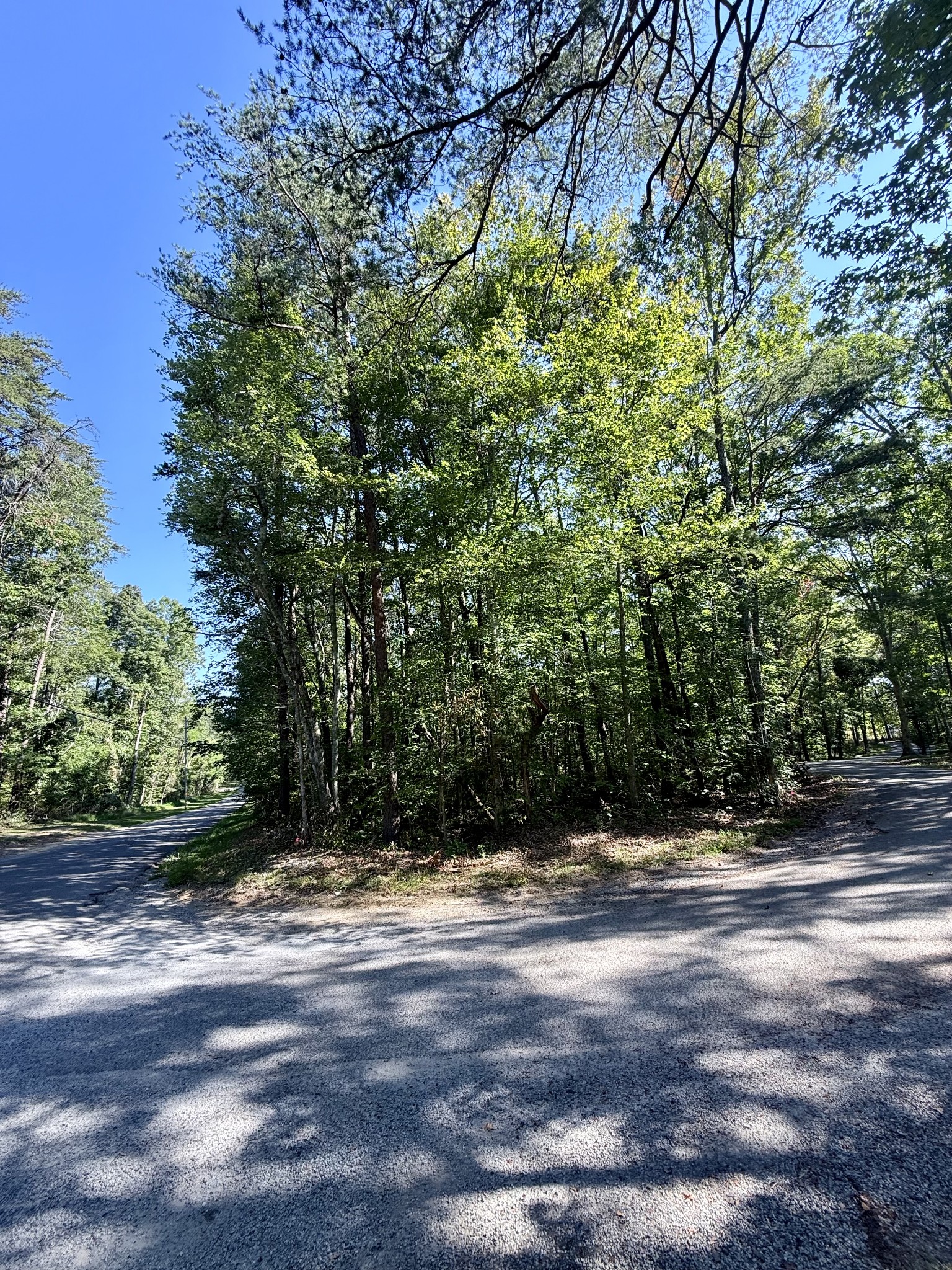 0 Pigeon Springs Road Tracy City, TN 37387 - Photo 11 of 17 a view of outdoor space with trees