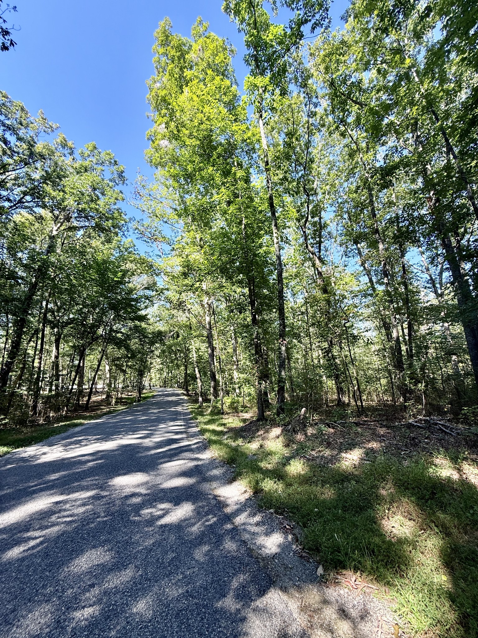 0 Pigeon Springs Road Tracy City, TN 37387 - Photo 3 of 17 a view of outdoor space with trees