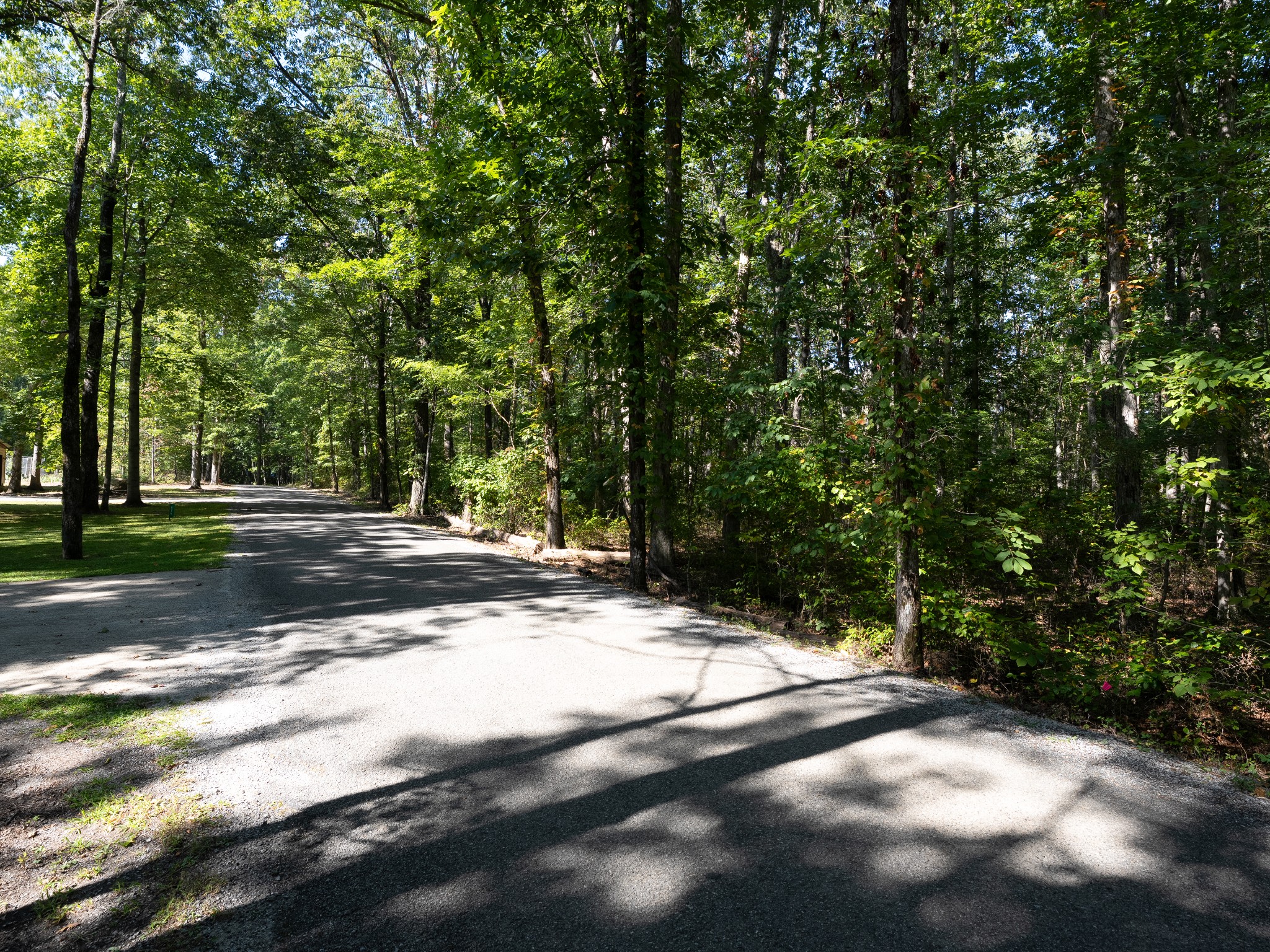 0 Pigeon Springs Road Tracy City, TN 37387 - Photo 8 of 17 a view of road with trees