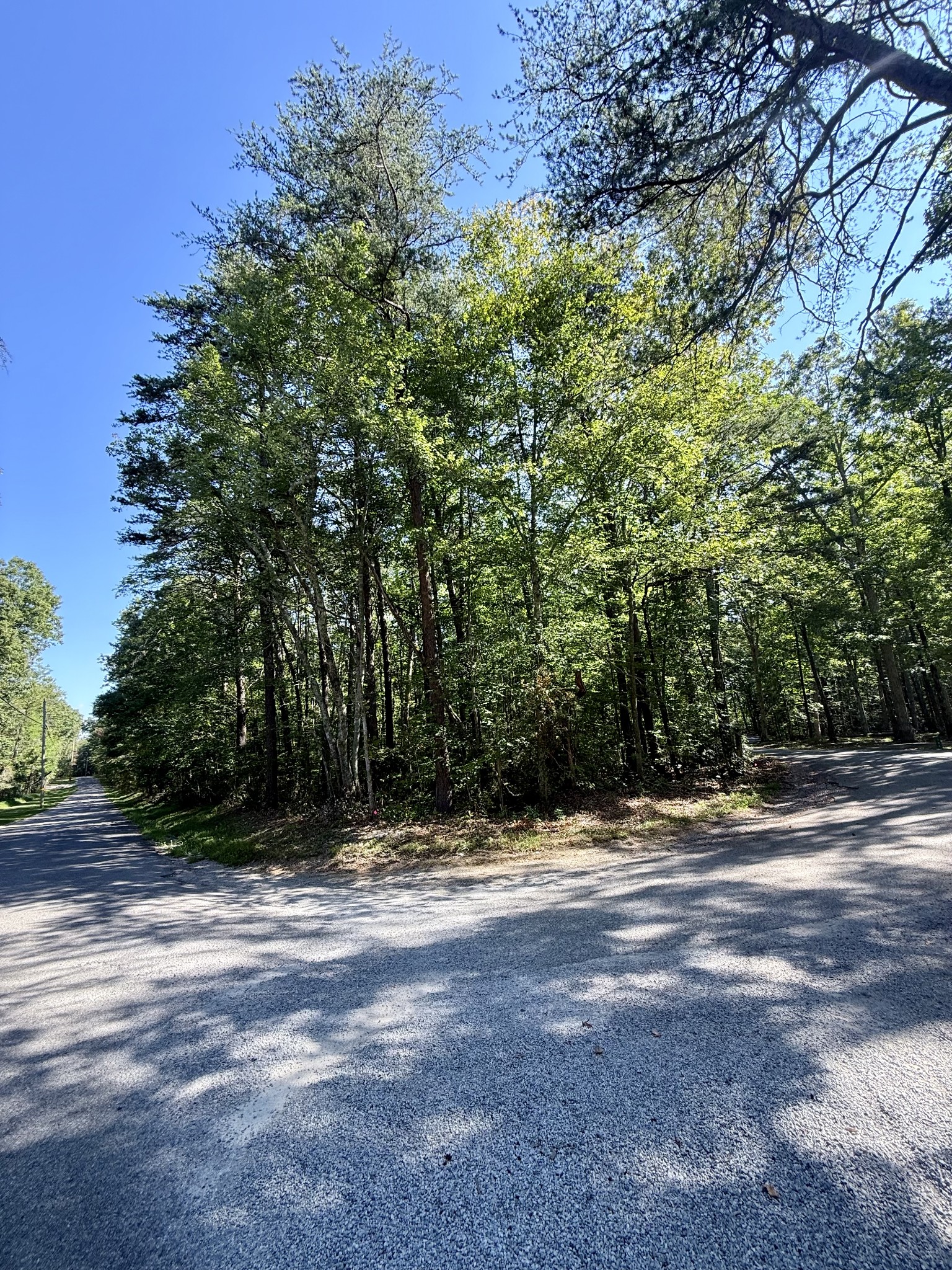 0 Pigeon Springs Road Tracy City, TN 37387 - Photo 10 of 17 a view of outdoor space with trees