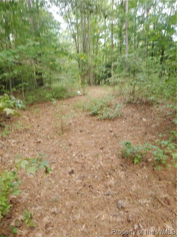0 Wilkes Road Lanexa, VA 23089 - Photo 11 of 24 Gallery Image 11