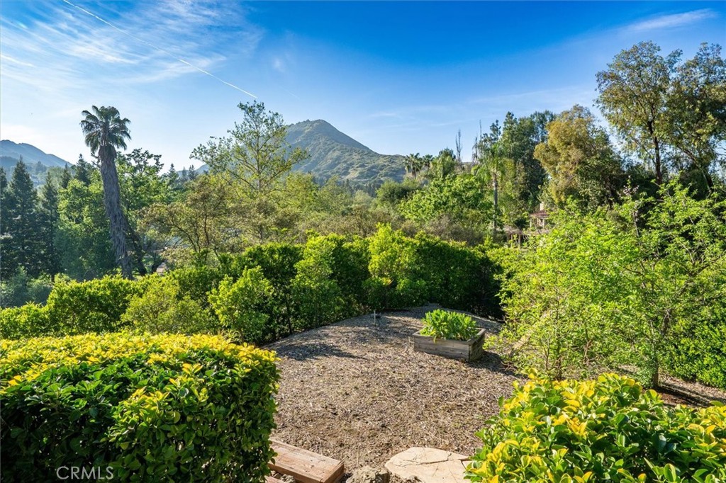 28933 Wagon Road Agoura Hills, CA 91301 - Photo 52 of 59 Back Yard Fruit Trees