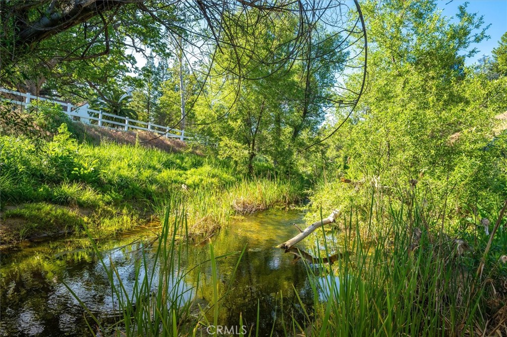 28933 Wagon Road Agoura Hills, CA 91301 - Photo 53 of 59 Creek