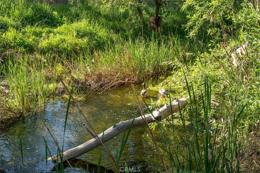 28933 Wagon Road Agoura Hills, CA 91301 - Photo 54 of 59 Creek