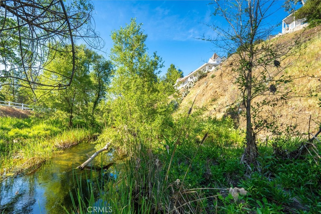 28933 Wagon Road Agoura Hills, CA 91301 - Photo 55 of 59 Creek