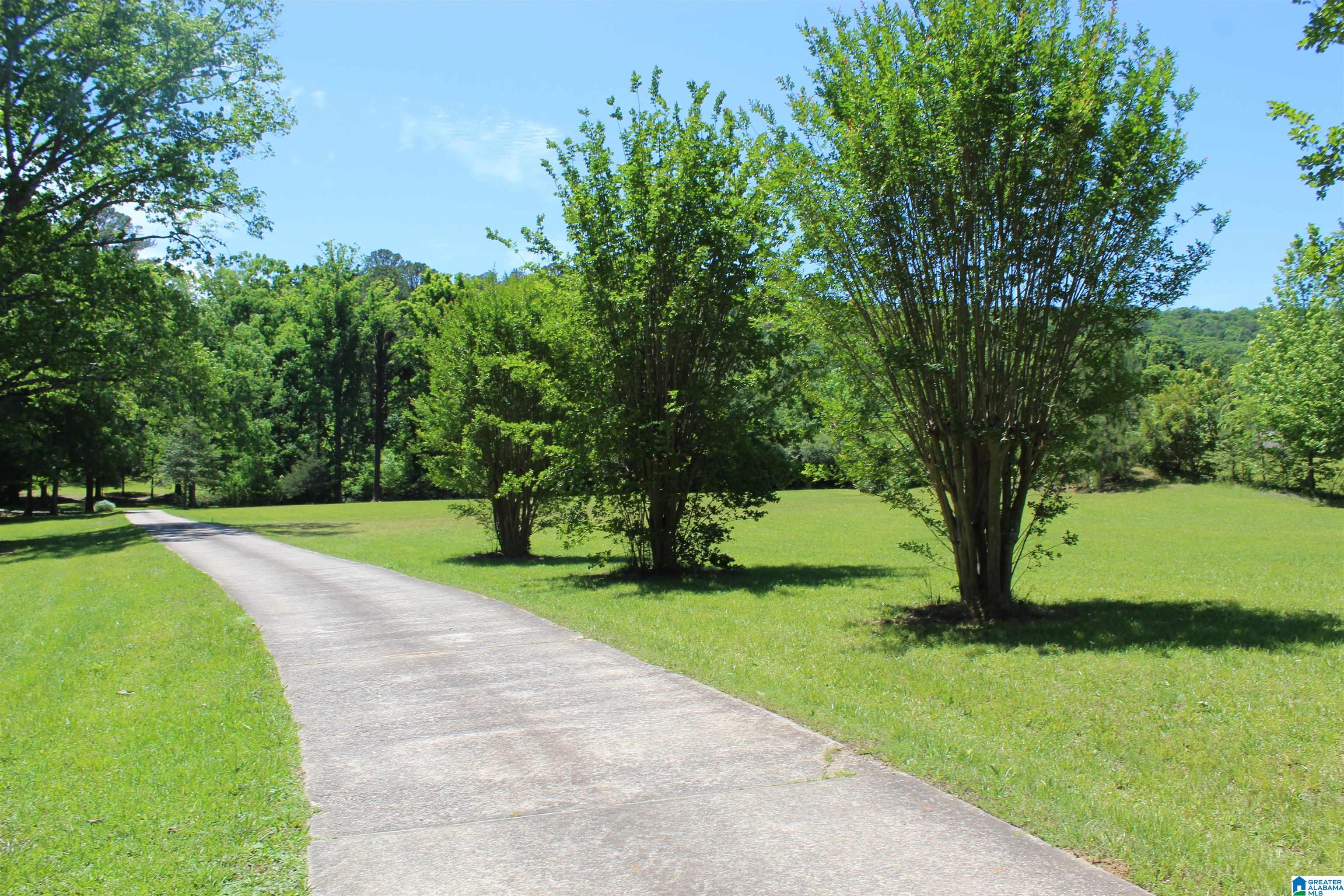 1680 Highway 174 Springville, AL 35146 - Photo 44 of 97