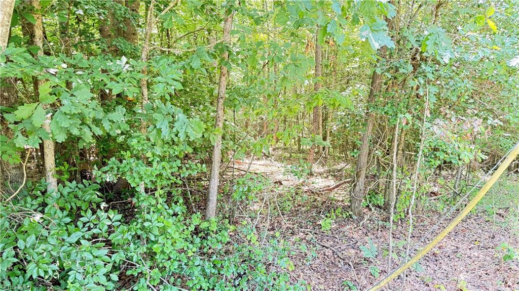 Tbd Rockford Road Dobson, NC 27017 - Photo 7 of 14