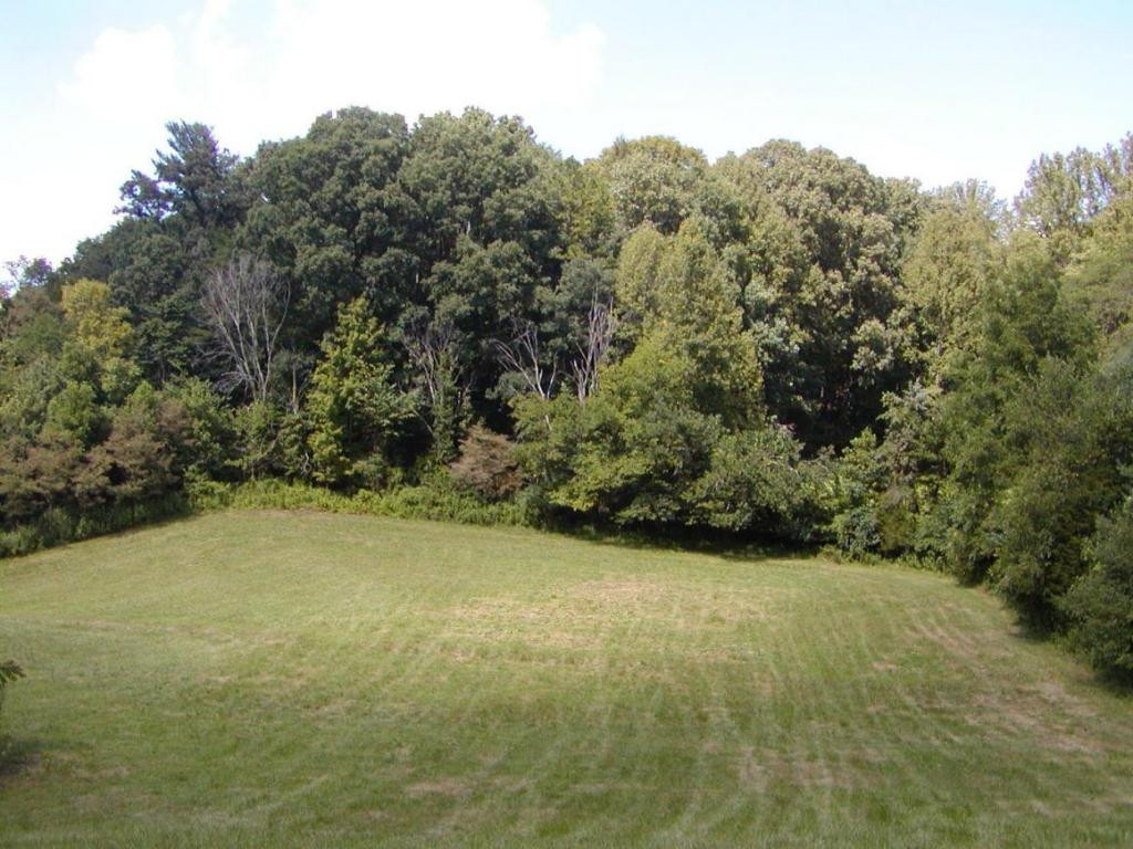 179 Anderson Road Johnson City, TN 37601 - Photo 11 of 24 Photo 11