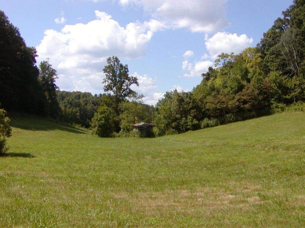 179 Anderson Road Johnson City, TN 37601 - Photo 12 of 24 Photo 12